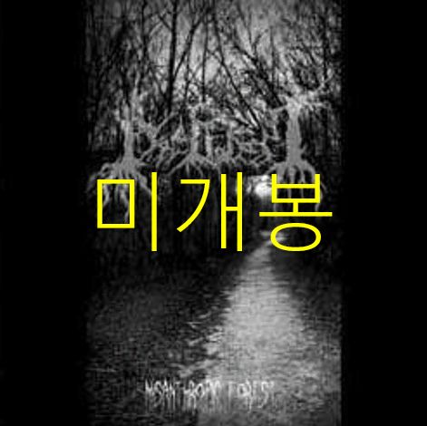 未開封 ディープ・フォレスト ー Misanthropic Forest （ CD ）
