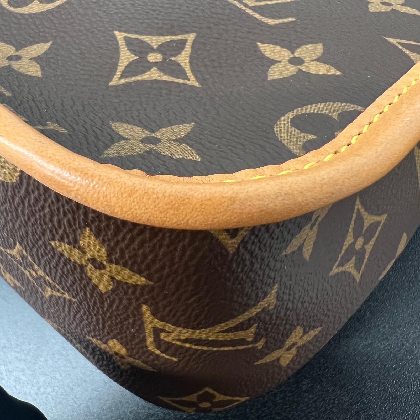 LOUIS VUITTON 展示品級 美品 ルイヴィトン ディアヌNM モノグラム 