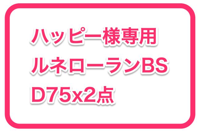 ハッピー様専用　ルネローラン 2枚セット