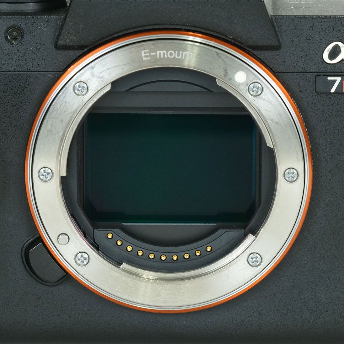 良品 | シャッター数5,550回] SONY α7R IV（ILCE-7RM4） | SONY E