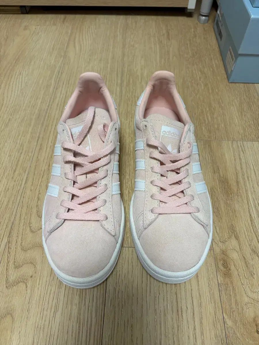 220 (新) キャンパス adidas ベビーピンク us 5