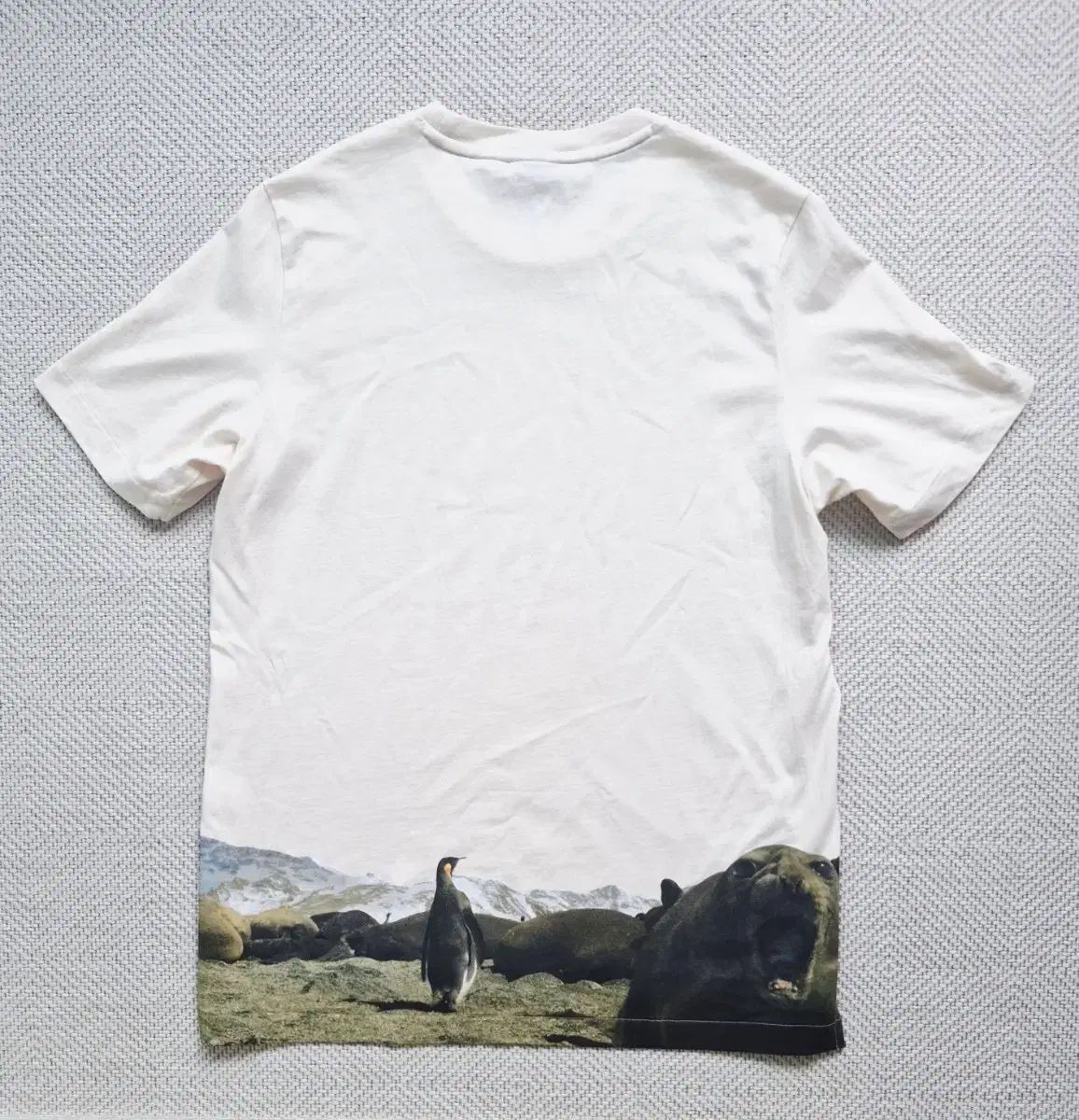 アディダス テレックス BBC earth 半袖Tシャツ L