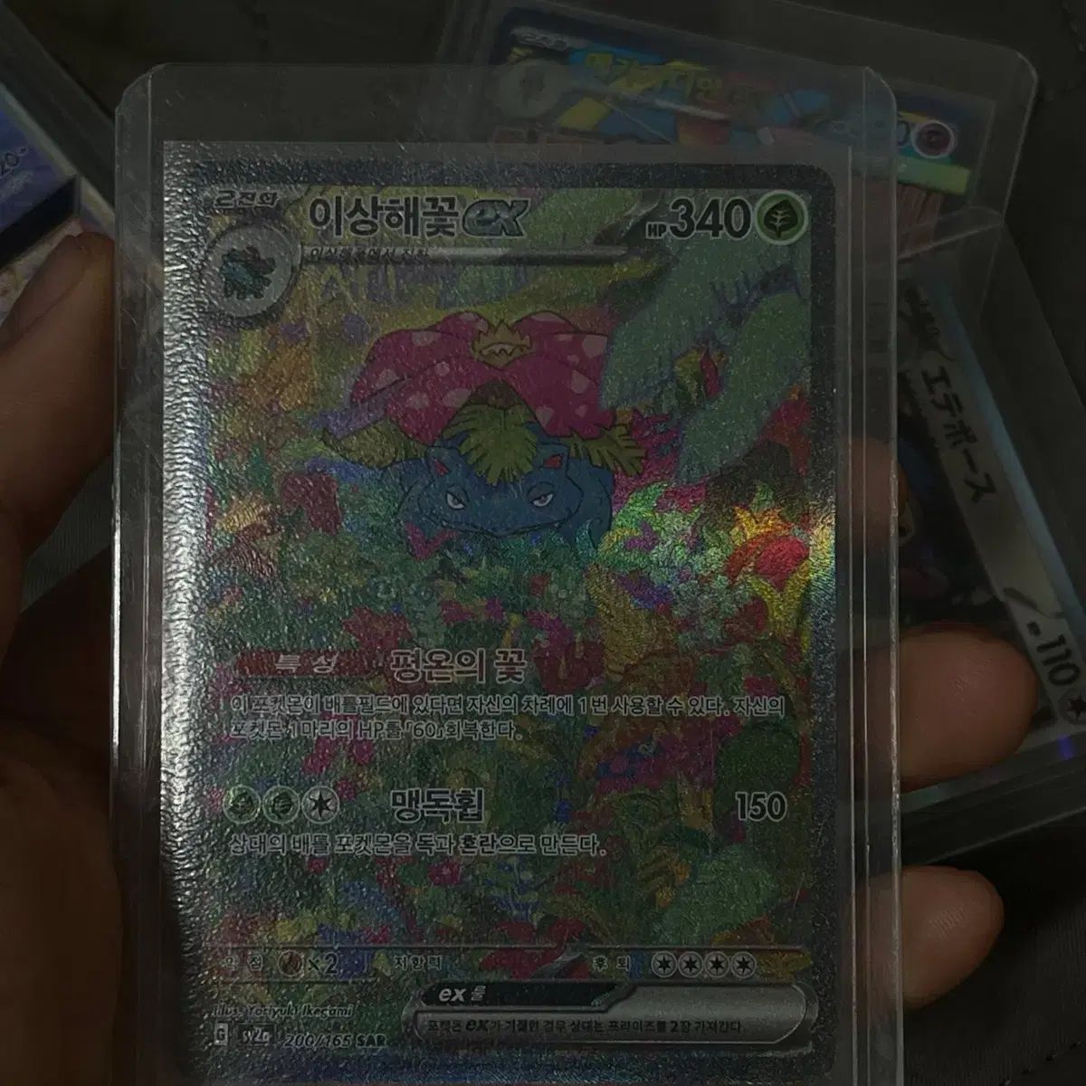 ポケモン 이상해꽃 EX カード