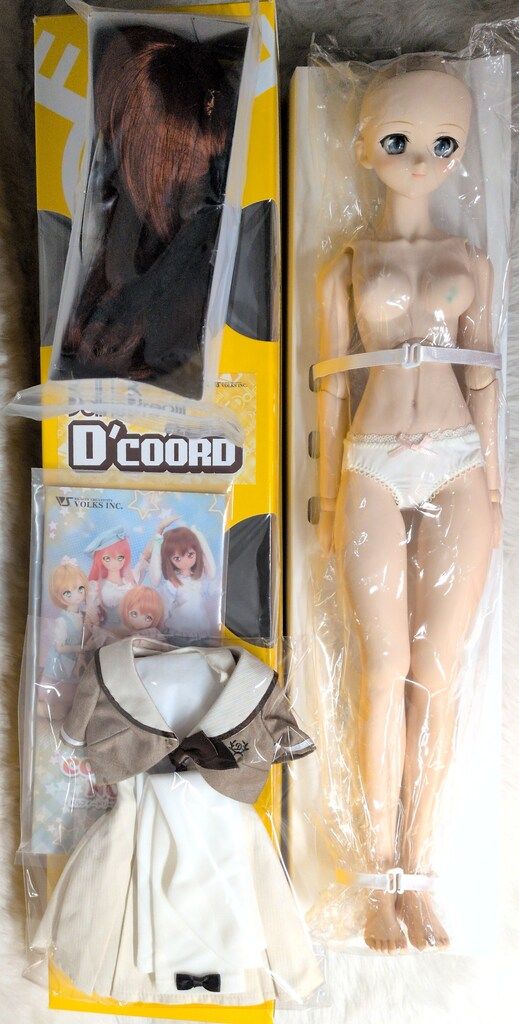 ボークス ドルフィードリーム DDS(DD-ｆ3) D'COORD ナツキ ノーマル肌 M胸
