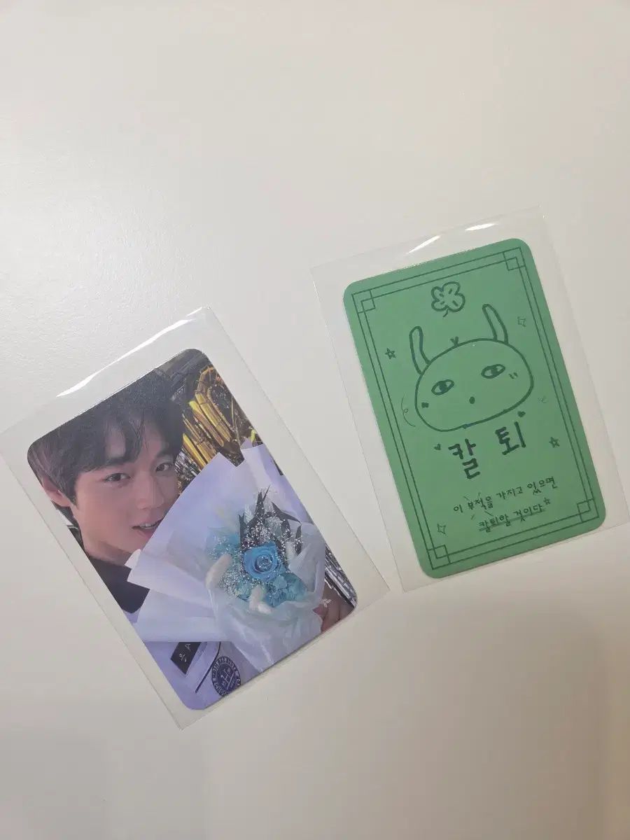 2025 パク・ジフン(PARK JIHOON) ファンミーティング トレカ 연시은