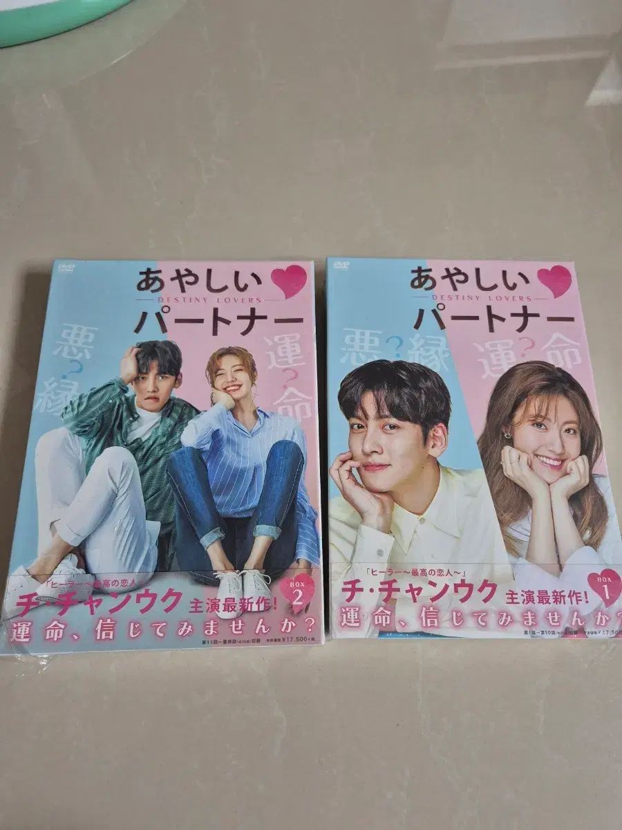 疑わしい パートナー DVD ボックス セット （チ・チャンウク） 日本盤 新品