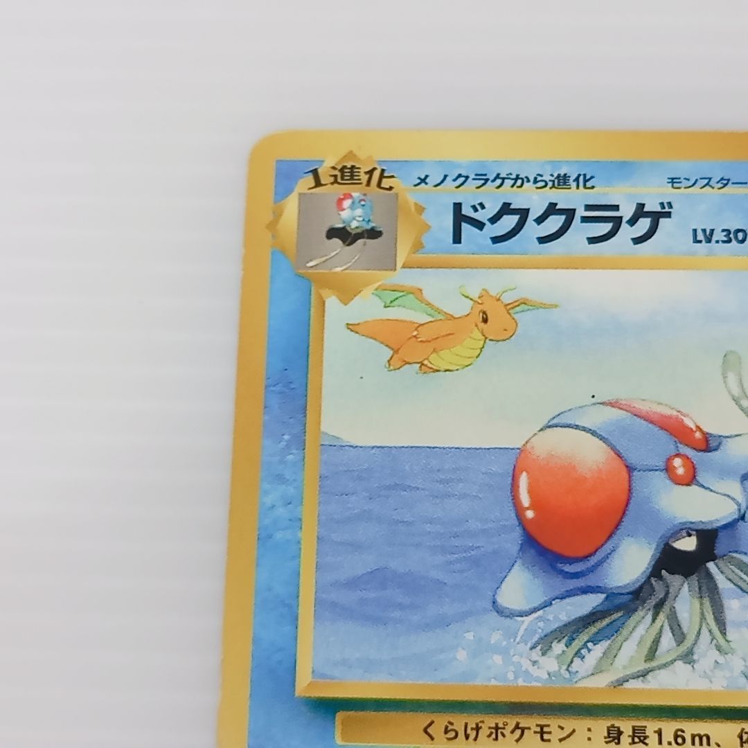 ポケモンカードゲーム 旧裏 ドククラゲ No.173 サザンアイランド