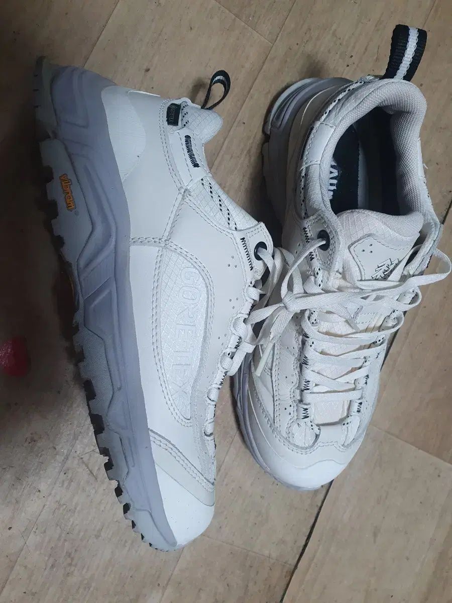 245 KOLONSPORT ゴアテックス