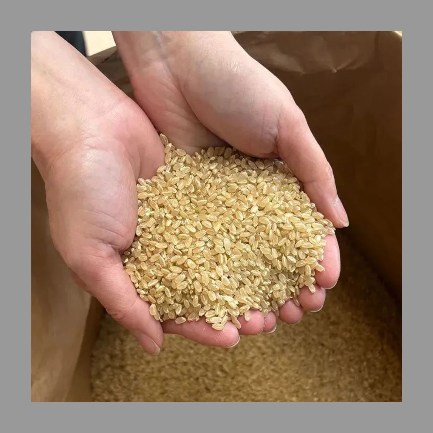 玄米20kg】令和7年産 ひとめぼれ 会津産米 送料無料 - メルカリ