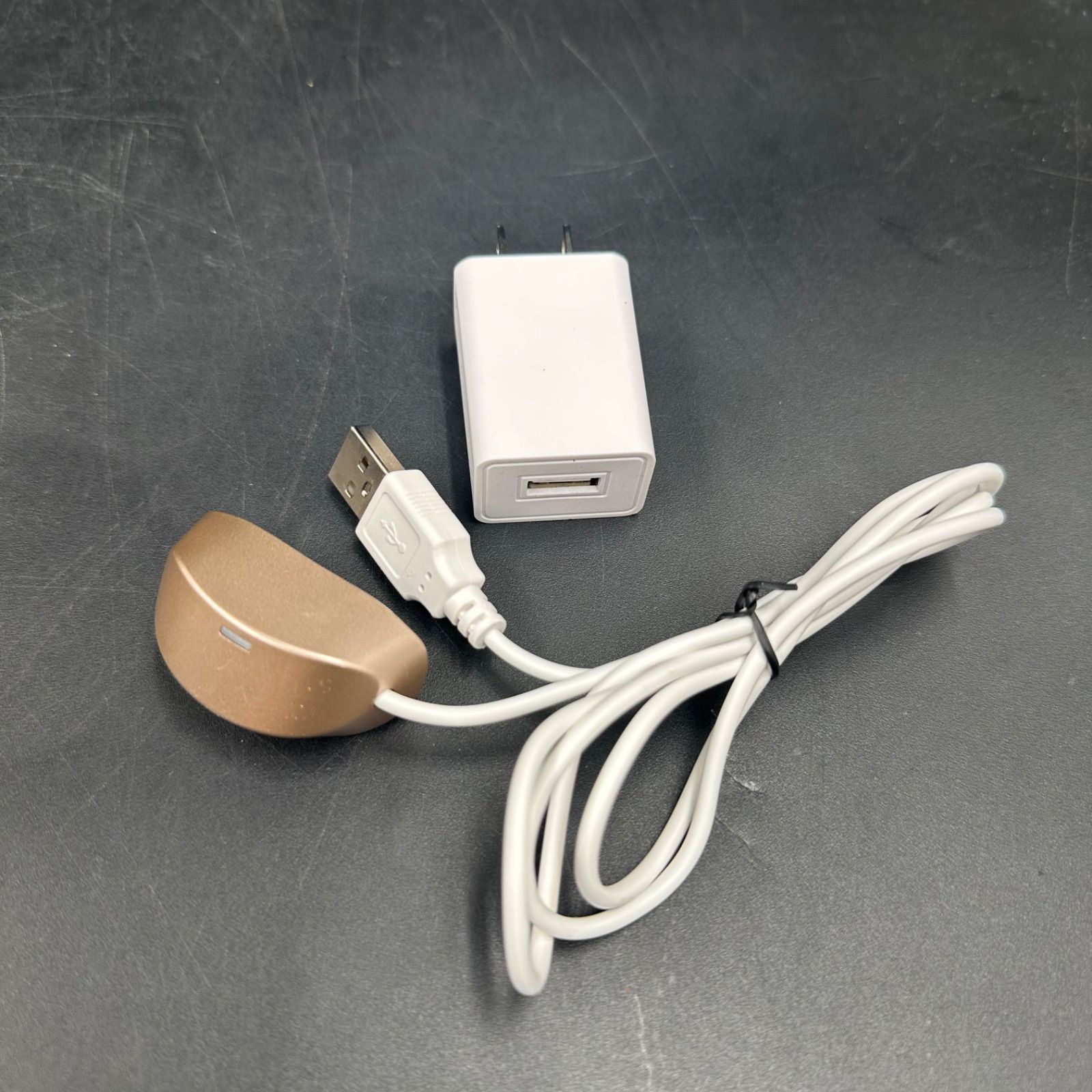 ME ラボン エクラ IKKOプロデュース 美顔器 通電確認済み ME 