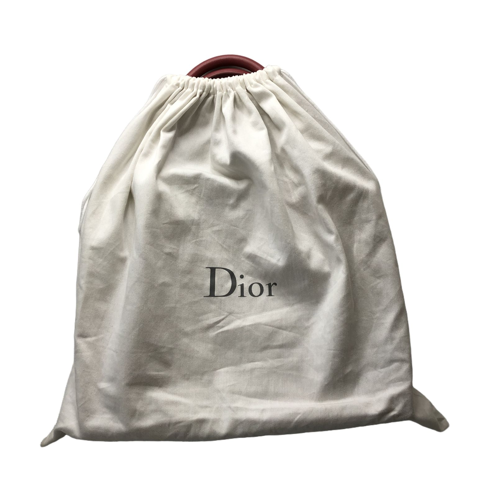 Christian Dior ディオール M1296ZGSB ブックトート ミディアム 