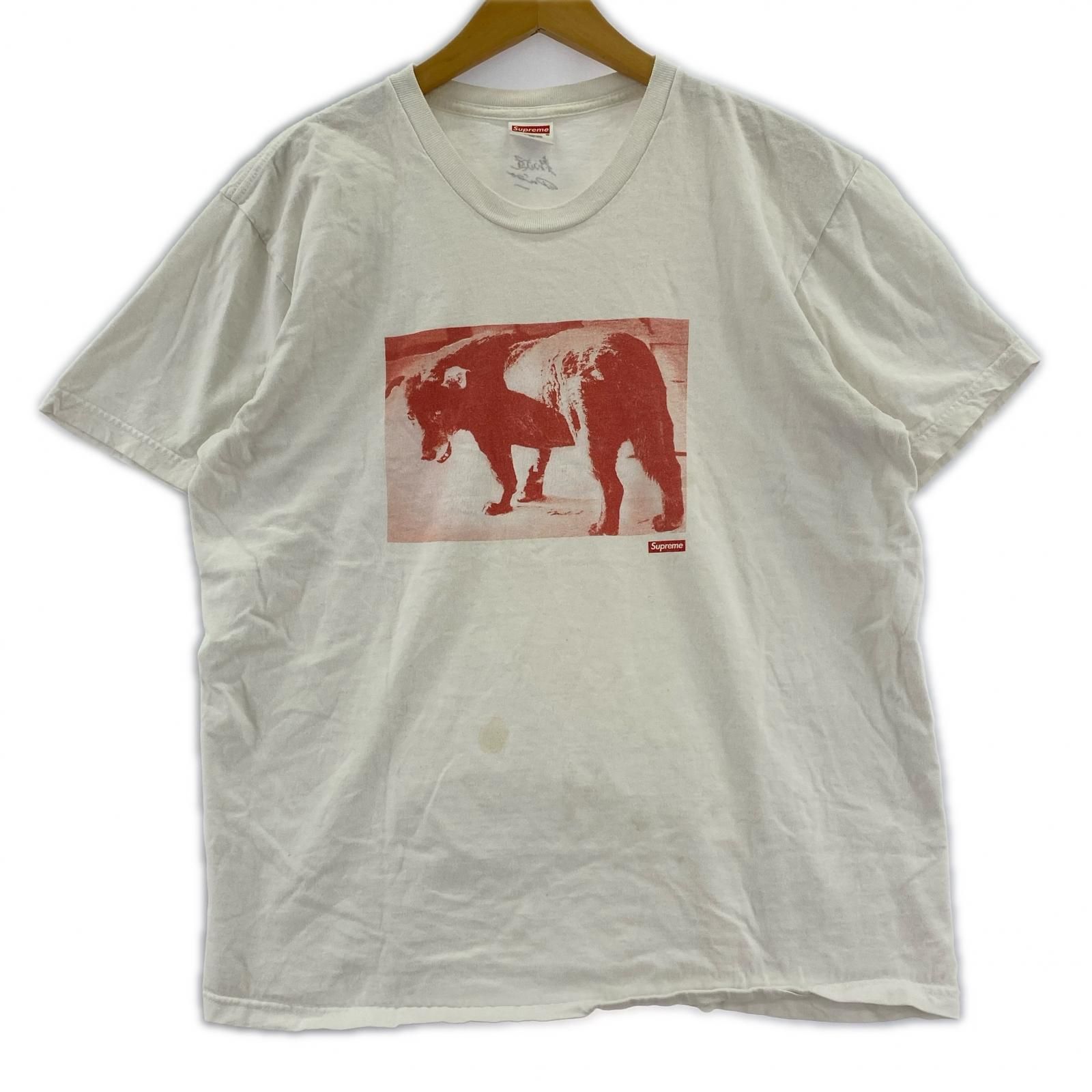 Supreme シュプリーム Daido Moriyama DOG半袖Ｔシャツ sizeM/ホワイト