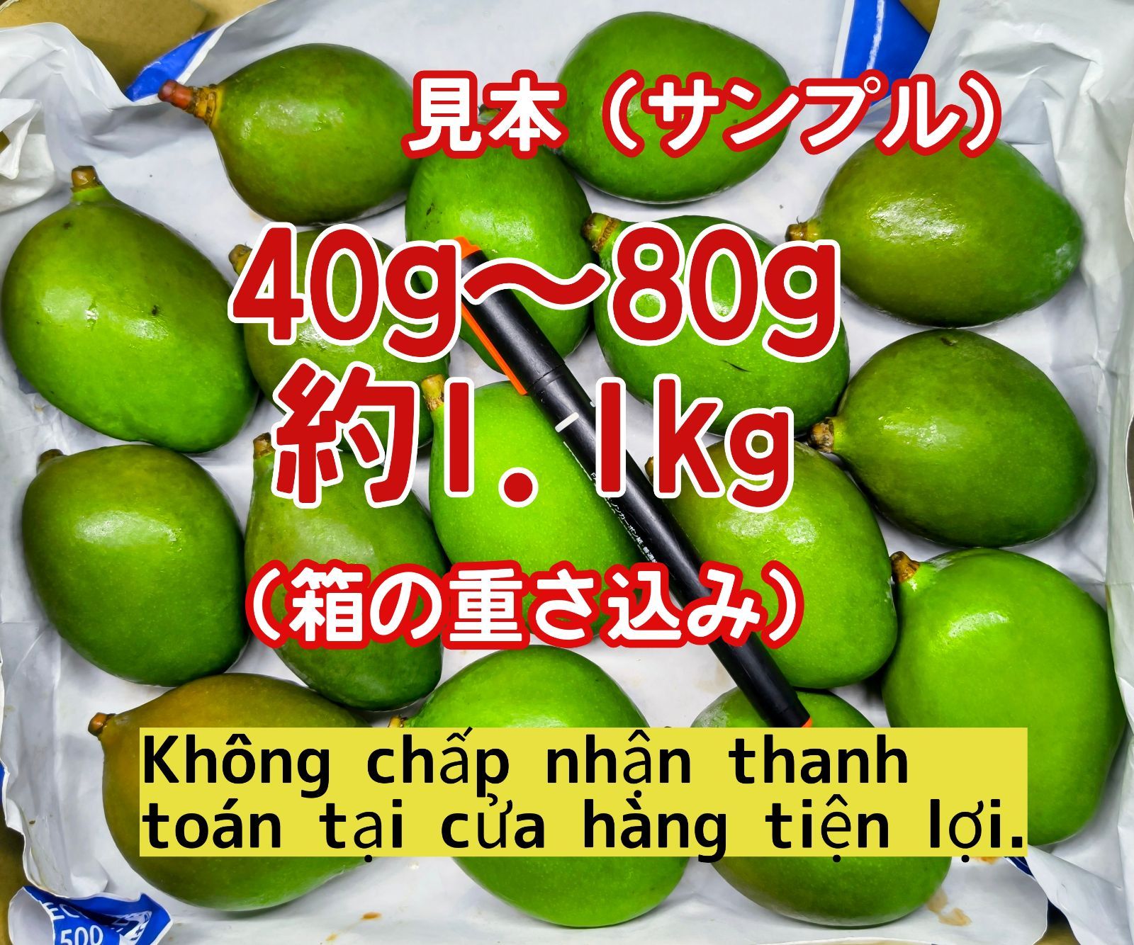 限定品》摘果 未熟 加工用 マンゴー/ 約1.1㎏〈約40g～80g〉 - メルカリ