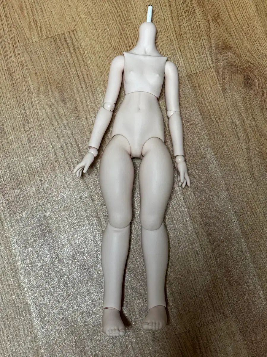 ボディ