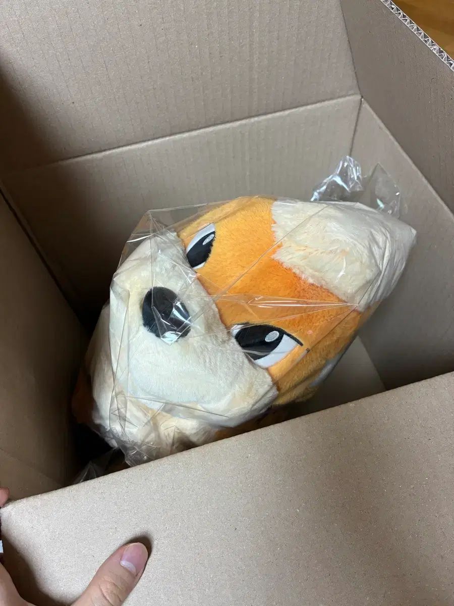 ポケモンコリア ポケモンセンター ぬいぐるみ 座っているガーディ 出品