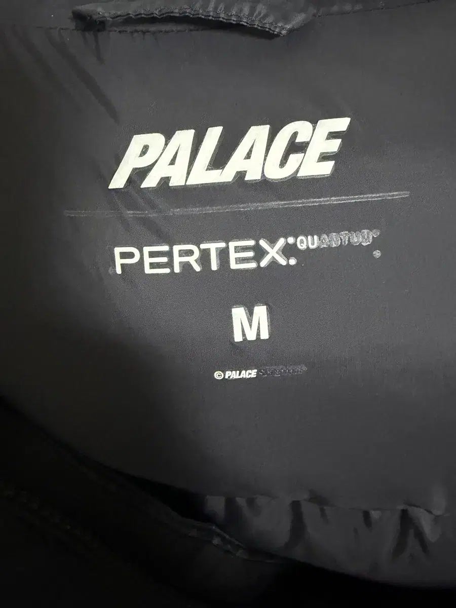 24fw パレス バラクラバ パファージャケット