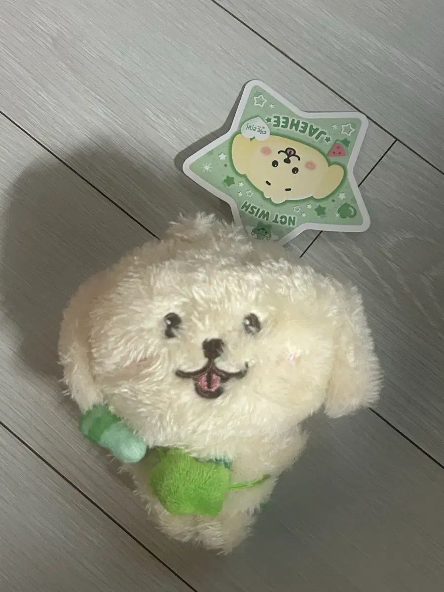 댕트리버