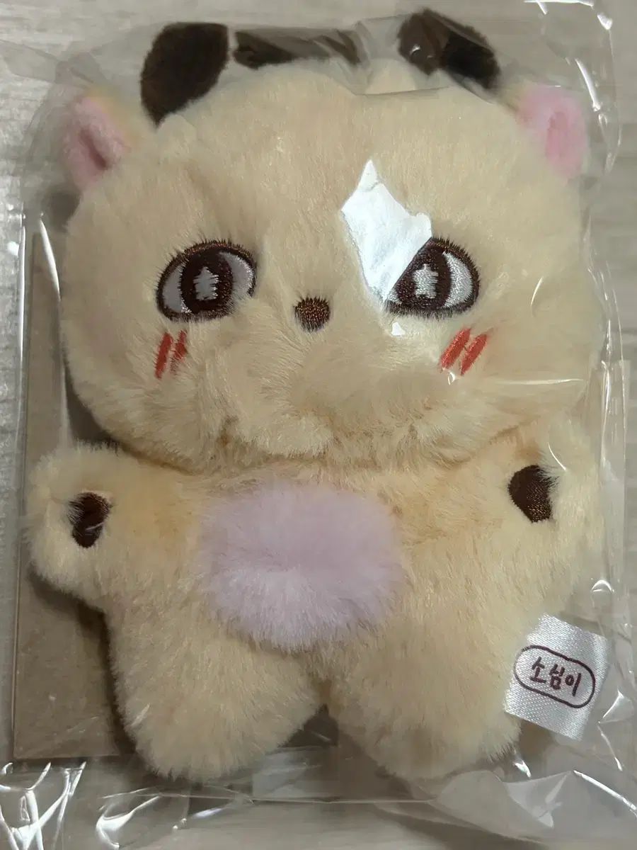 パク・ジフン(PARK JIHOON) 소심이 ぬいぐるみ ぬいぐるみ 소심이 パク