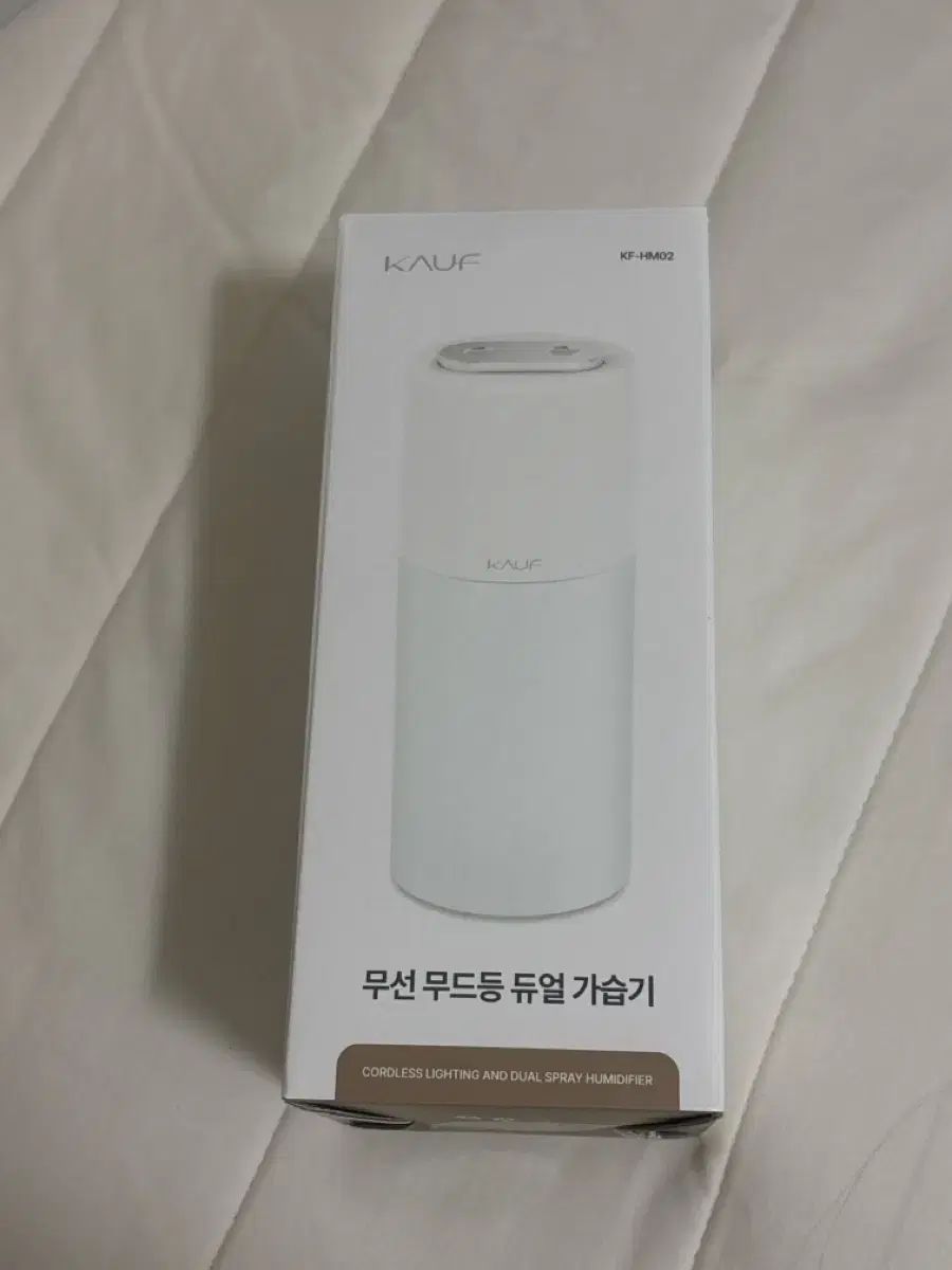 DAY6（デイシックス）ウォンピル(WONPIL) シンガーロング加湿器 新品