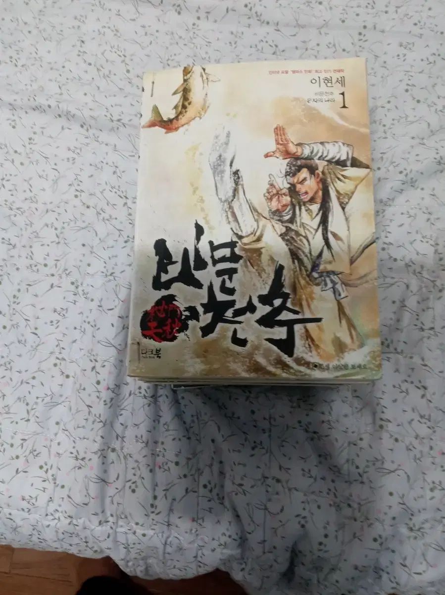 이현세 비문천추 全10巻 完結