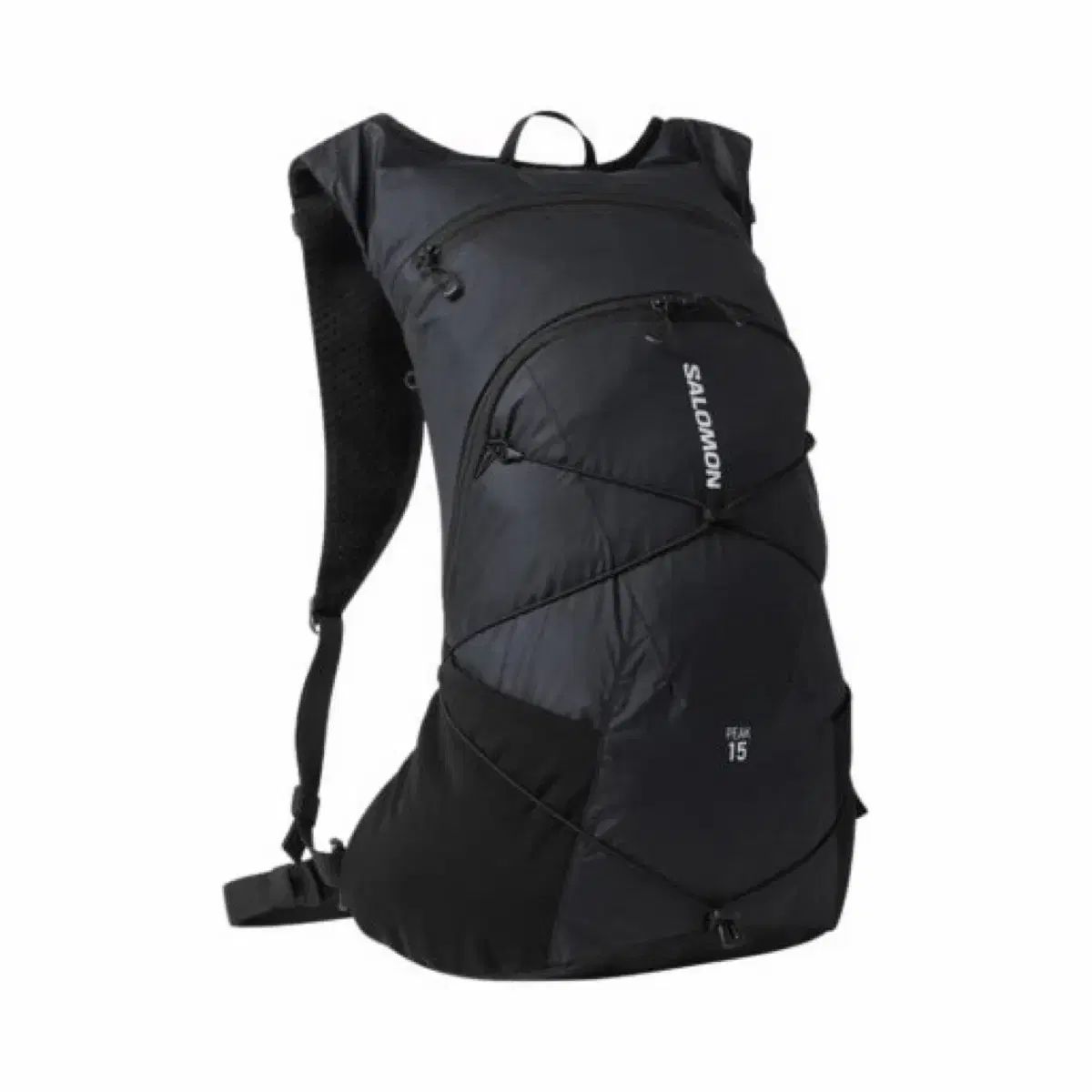 SALOMON サロモン ピーク バックパック 15l