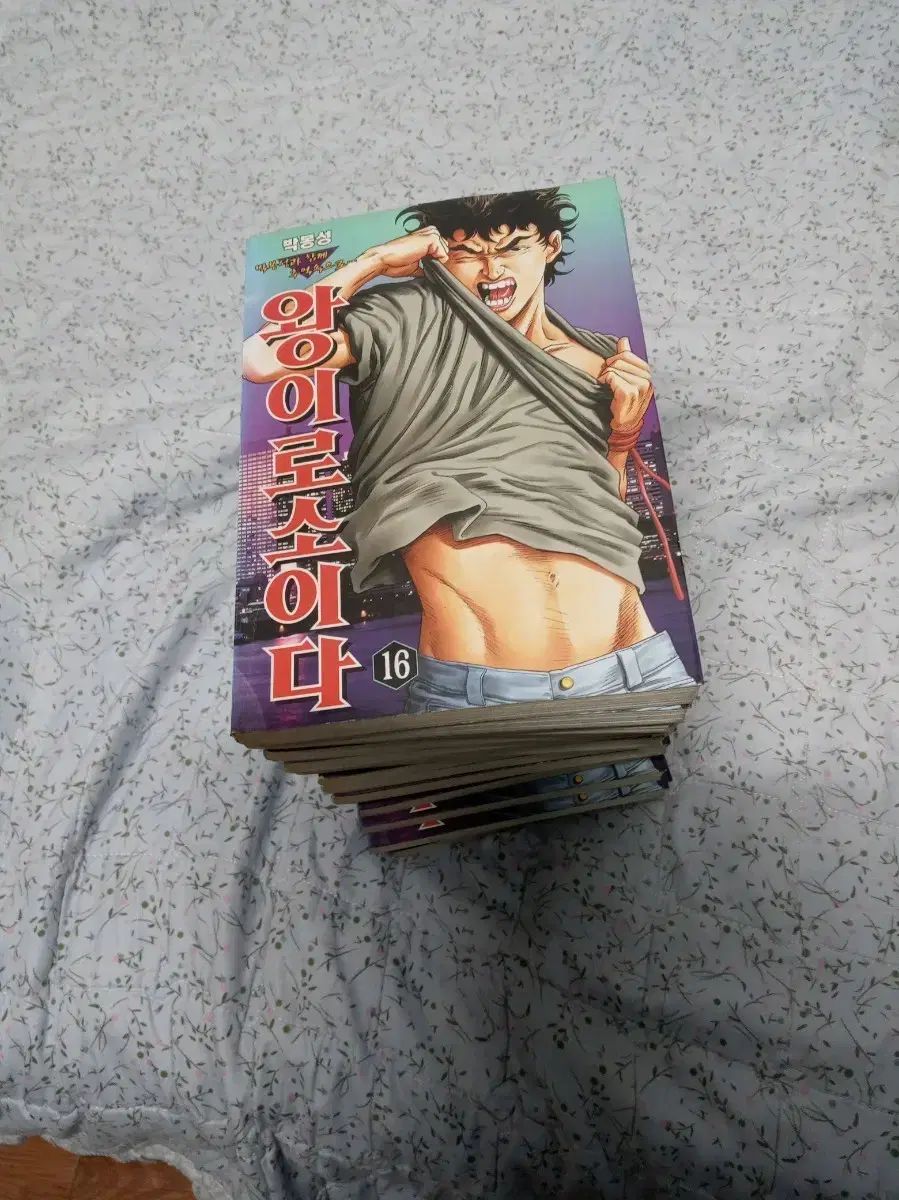 王イロソイダ 漫画 全巻 耳貴本임니다 박봉城 イ・ヒョンセ 허영만