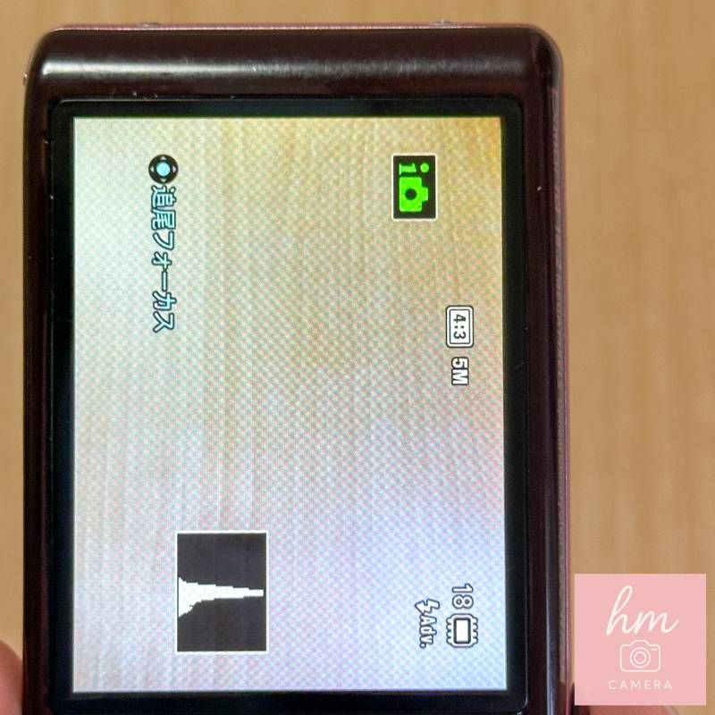 SONY Cyber-shot DSC-WX200 ピンク 1820万画素 光学10倍ズーム 広角25mm Wi-Fi NFC Sony G フルHD コンパクトデジタルカメラ ソニー サイバーショット