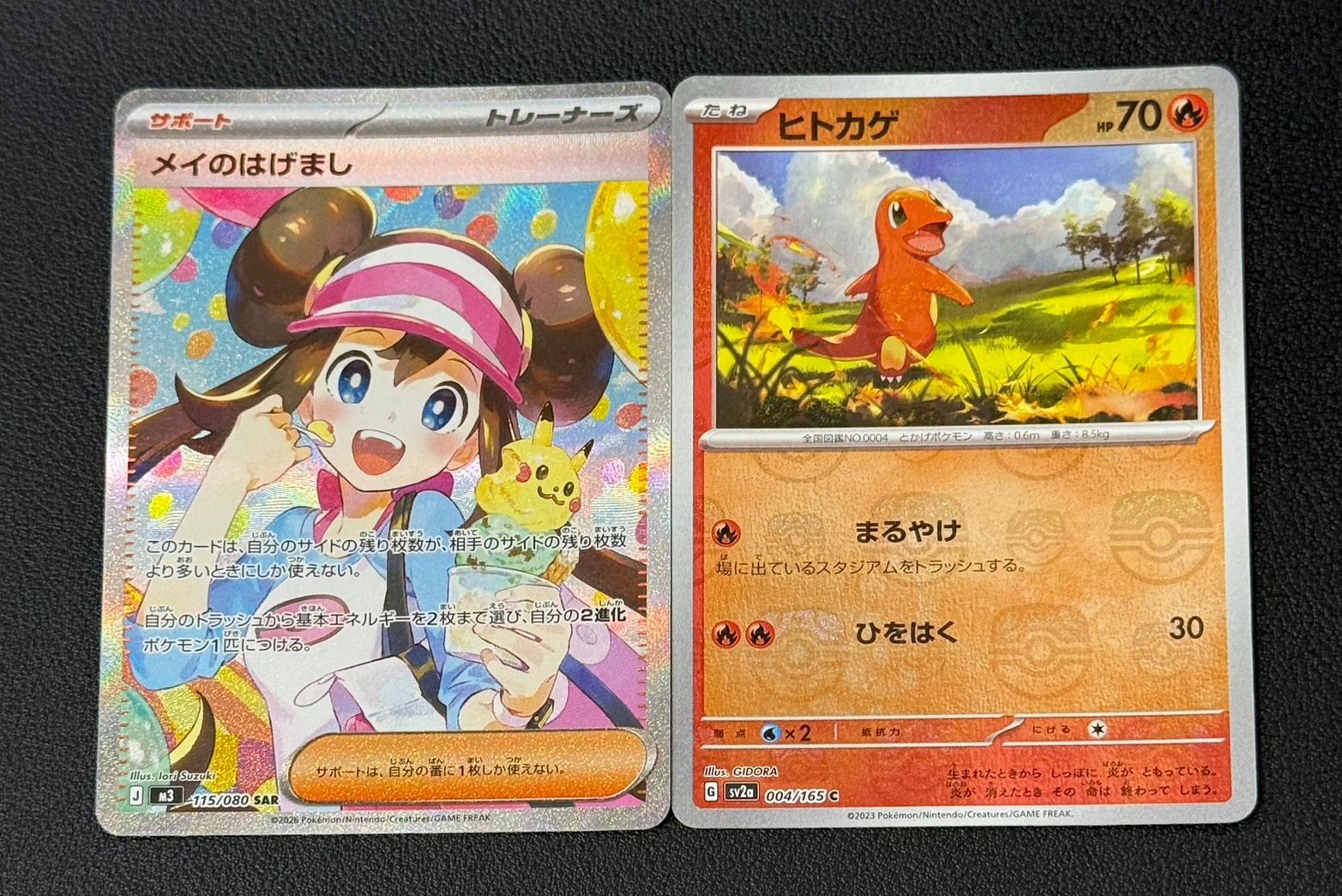 メイのはげまし ヒトカゲ