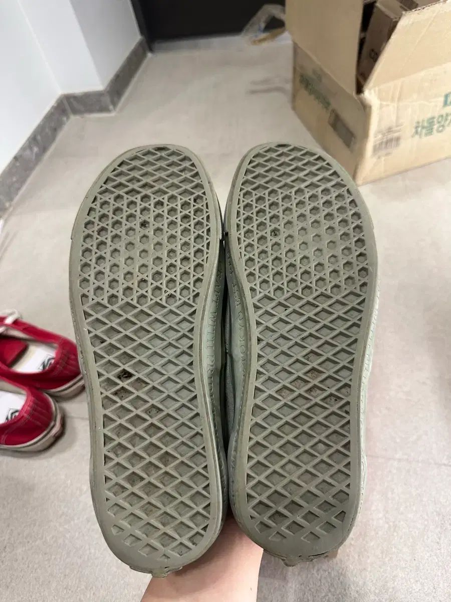 VANS NEIGHBORHOOD ERA グリーン 275