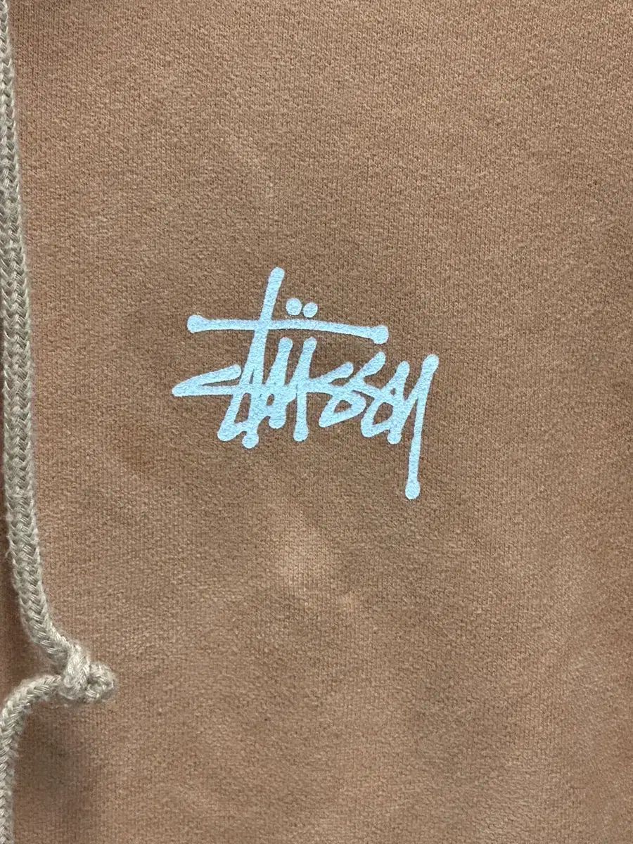 STUSSY ステューシー 正規品 / メンズ100 / シーグリ cignature(シグネチャー) ブラウン WHO Tシャツ