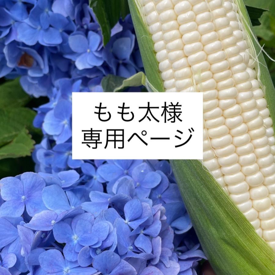 もも太様専用ページ