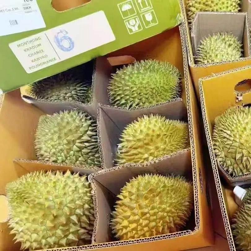 【新鮮直送】タイ産 モントーン ドリアン 金枕榴蓮 一箱6玉 フレッシュ果物 南国フルーツ トロピカルフルーツ 甘い 香り豊か クリーミー 果肉たっぷり