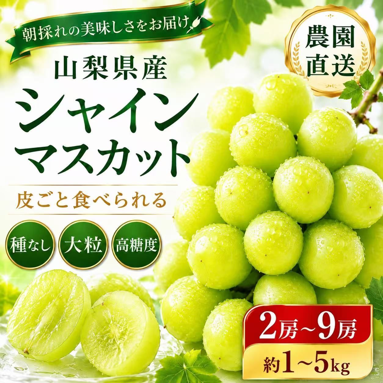 山梨産シャインマスカット 約1kg 化粧箱入 送料無料 - メルカリ