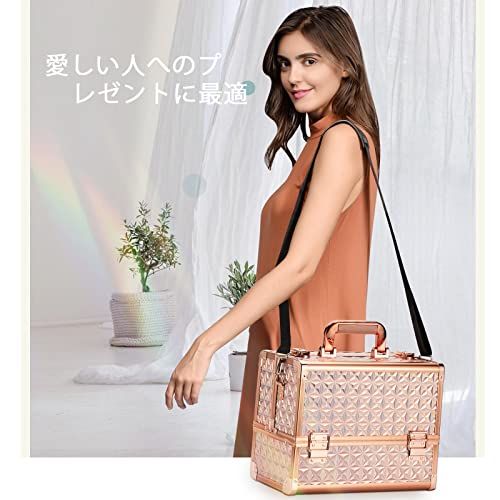 Hapilife メイクボックス 大容量 プロ仕様 コスメボックス 化粧箱 化粧ボックス 化粧品 収納ボックス 金 (ゴールド)ts