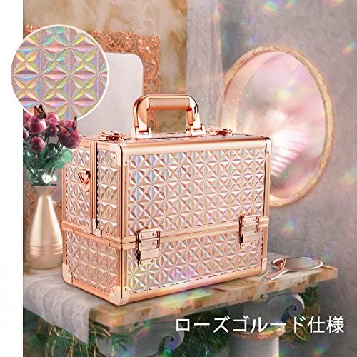 Hapilife メイクボックス 大容量 プロ仕様 コスメボックス 化粧箱 化粧ボックス 化粧品 収納ボックス 金 (ゴールド)ts