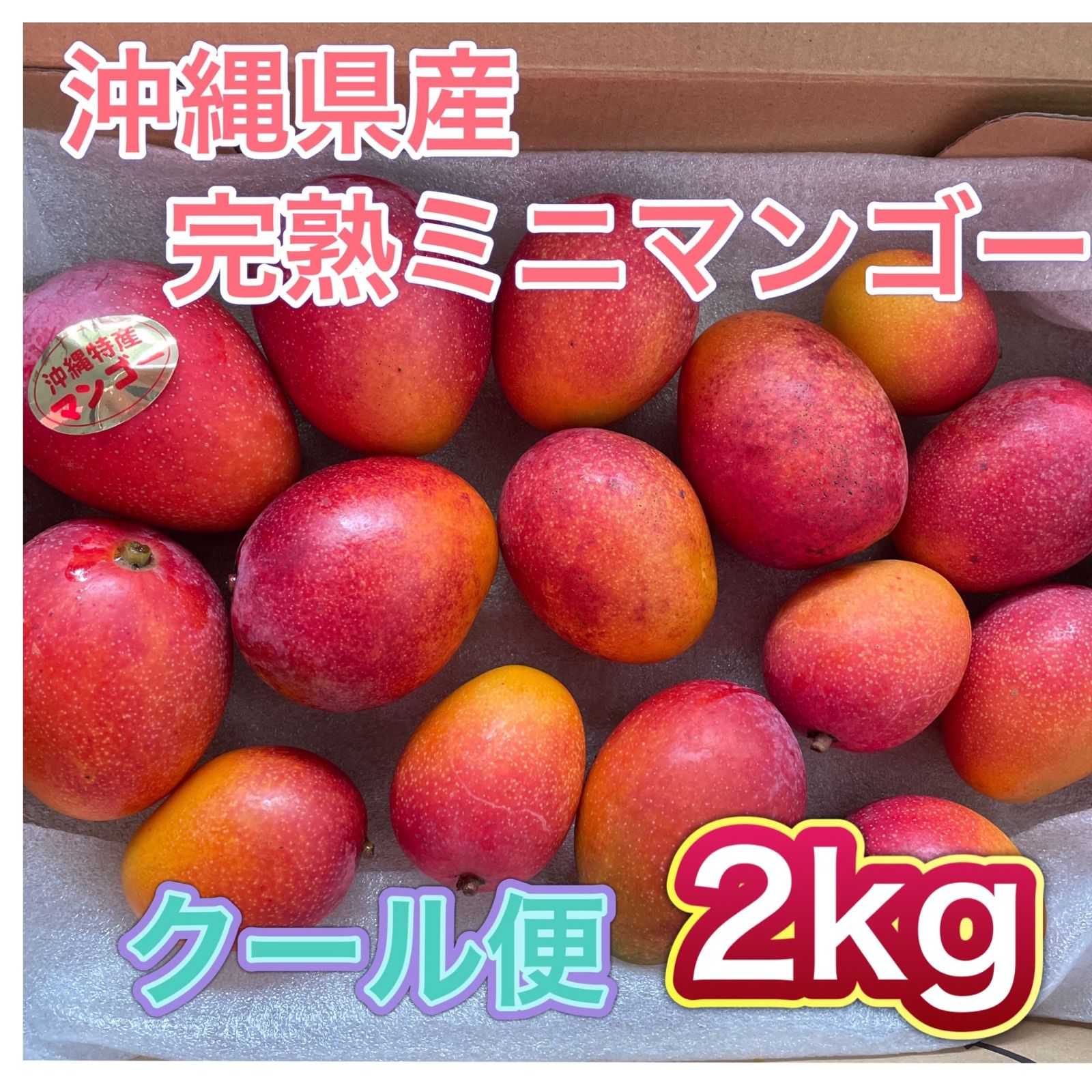 予約販売 沖縄県産 アップルミニマンゴー 約2kg｜アーウィン種