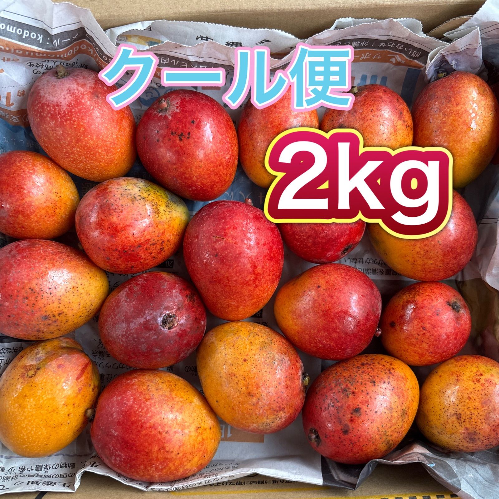 予約販売 家庭用 沖縄県産 アップルミニマンゴー 約2kg
