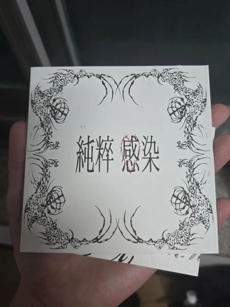 ディノ・イチャン 純粋感染 アルバム開封版 出品 (フルセット)
