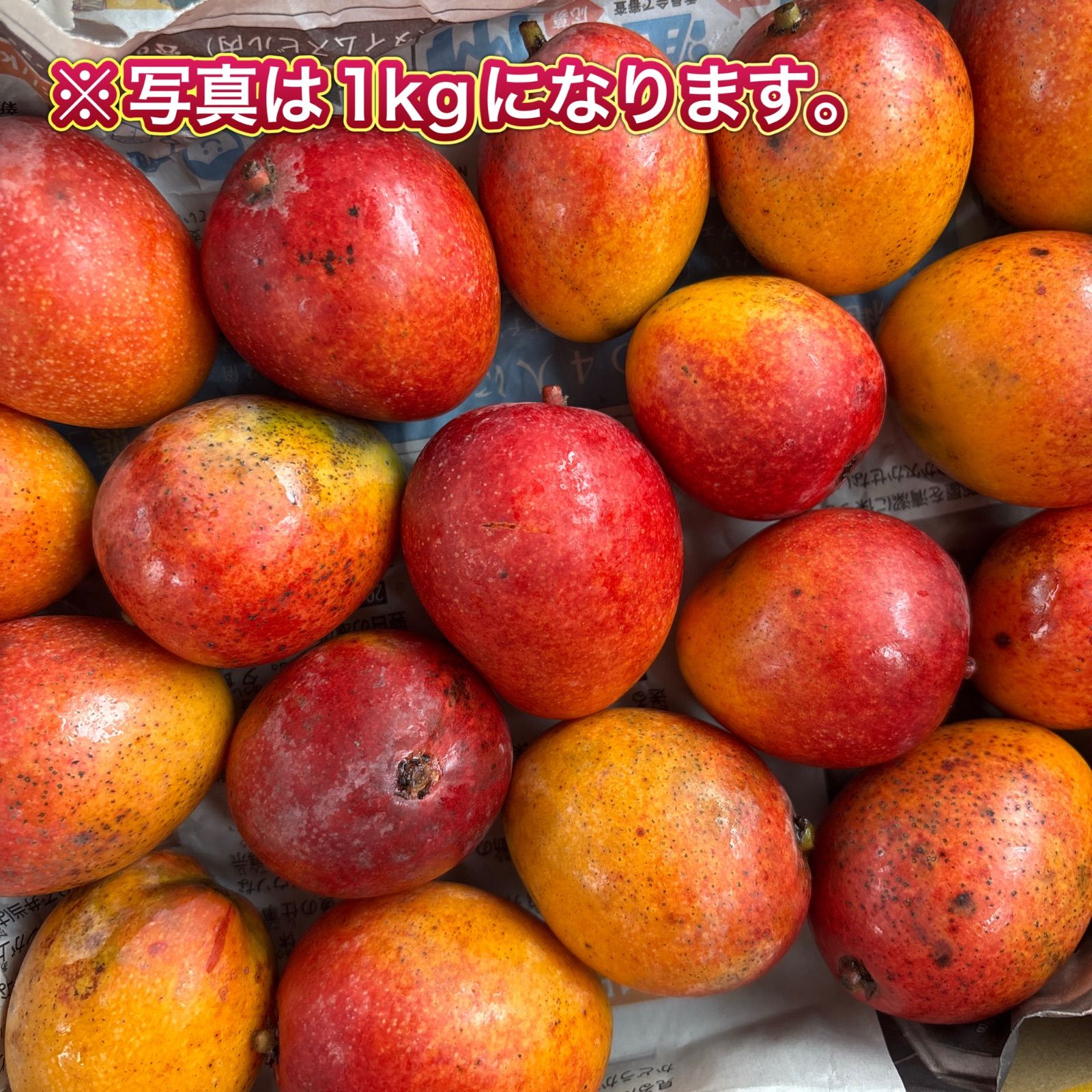 家庭用アップルミニマンゴー3kg 完熟沖縄県産 - メルカリ