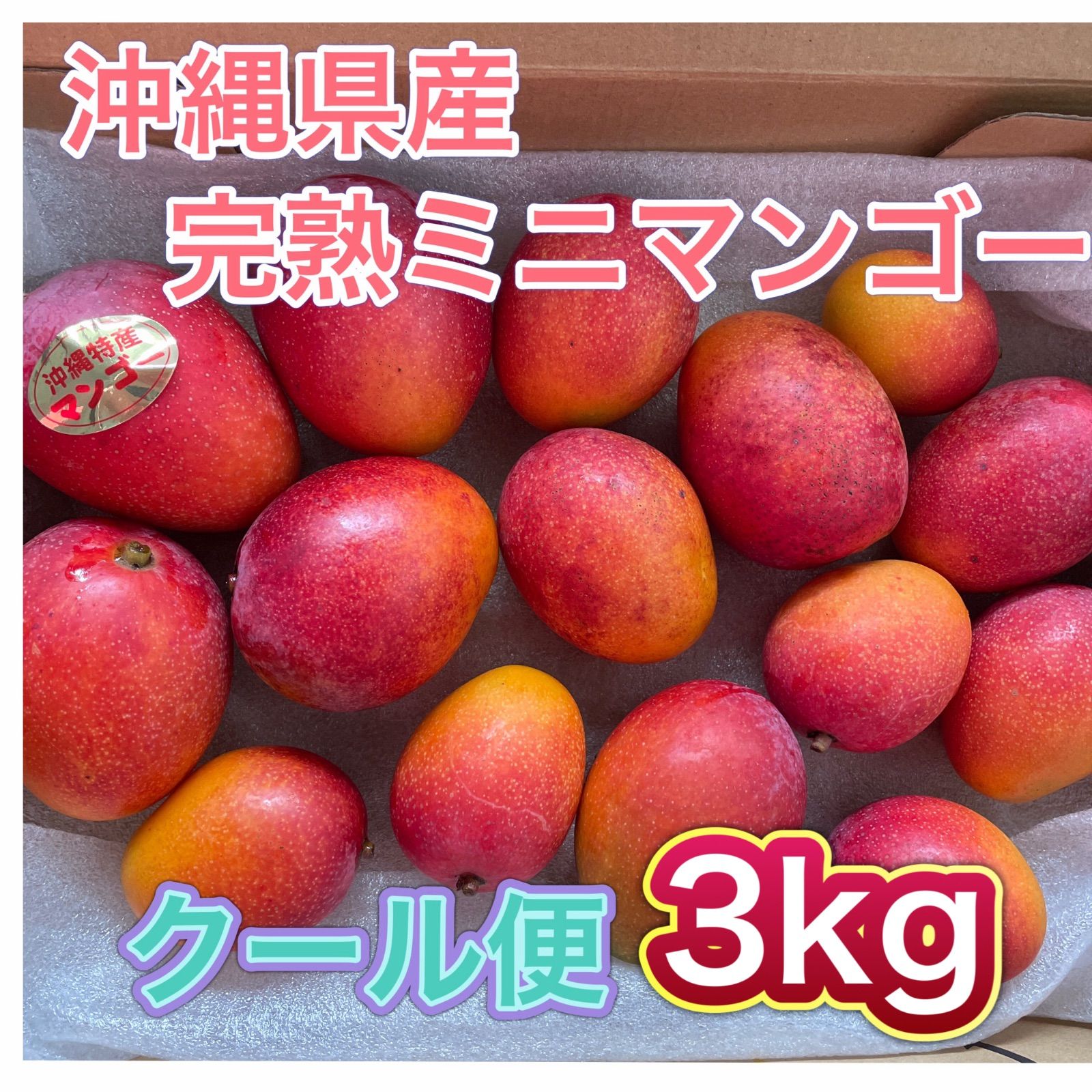 予約販売 沖縄県産 アップルミニマンゴー 約3kg|アーウィン種
