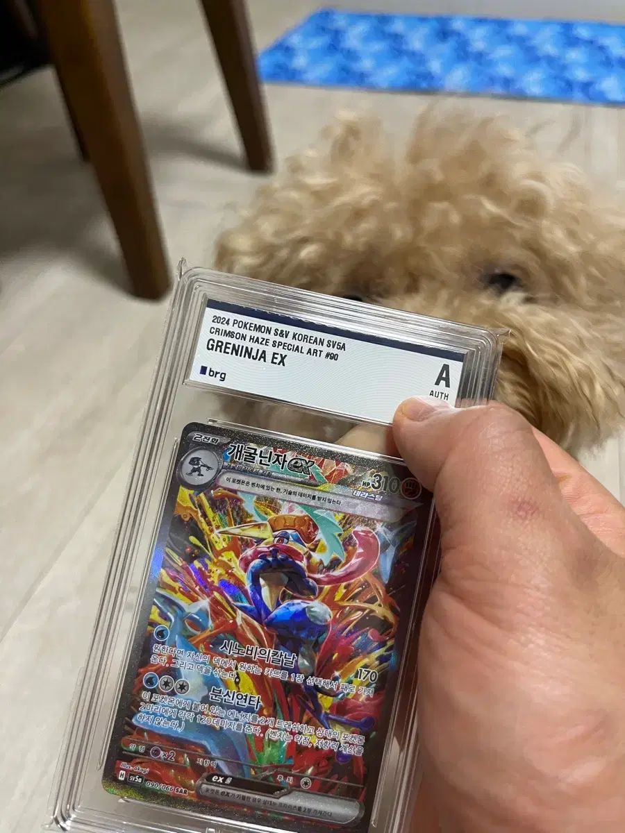 ゲッコウガsar ポケモンカード