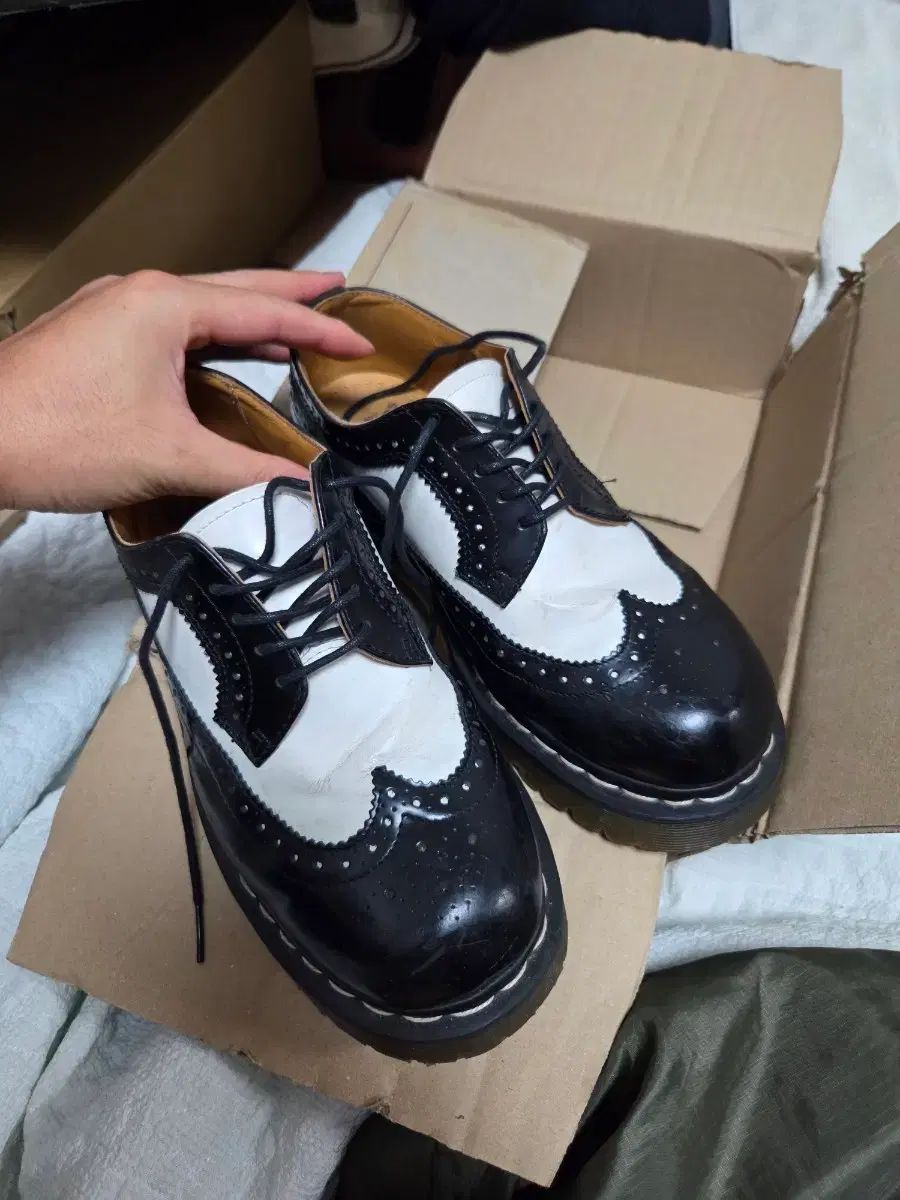 DR. MARTENS ドクターマーチン ウイングチップ mickey mouse(ミッキーマウス)