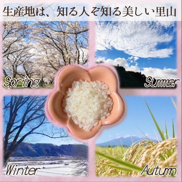 武川米コシヒカリ 10kg×3袋 山梨県産 白米 - メルカリ
