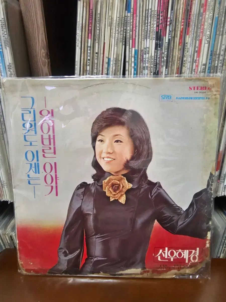 ソン・ウ・ヘギョン 忘れてしまった 物語 LP CD 12,488円