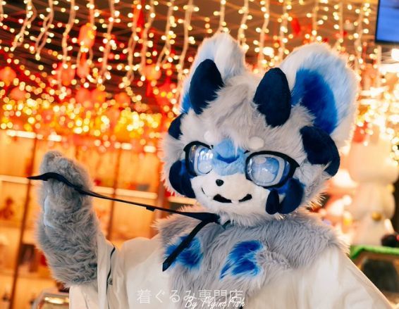 犬　猫　着ぐるみ ヘッド全頭　ヘッド ケモノ ファースーツ ぬいぐるみ コスプレ コスチューム Kurumi 一点物 C230