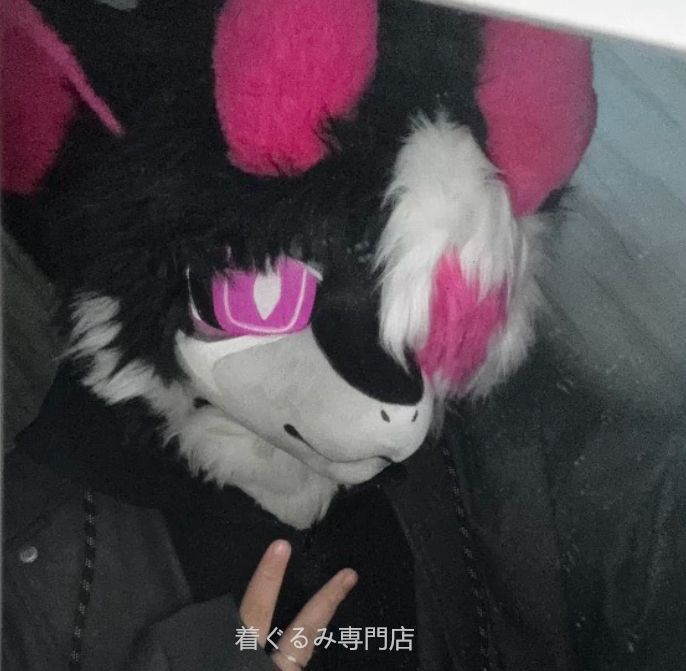 犬　猫　着ぐるみ ヘッド全頭　ヘッド ケモノ ファースーツ ぬいぐるみ コスプレ コスチューム Kurumi 一点物 C241