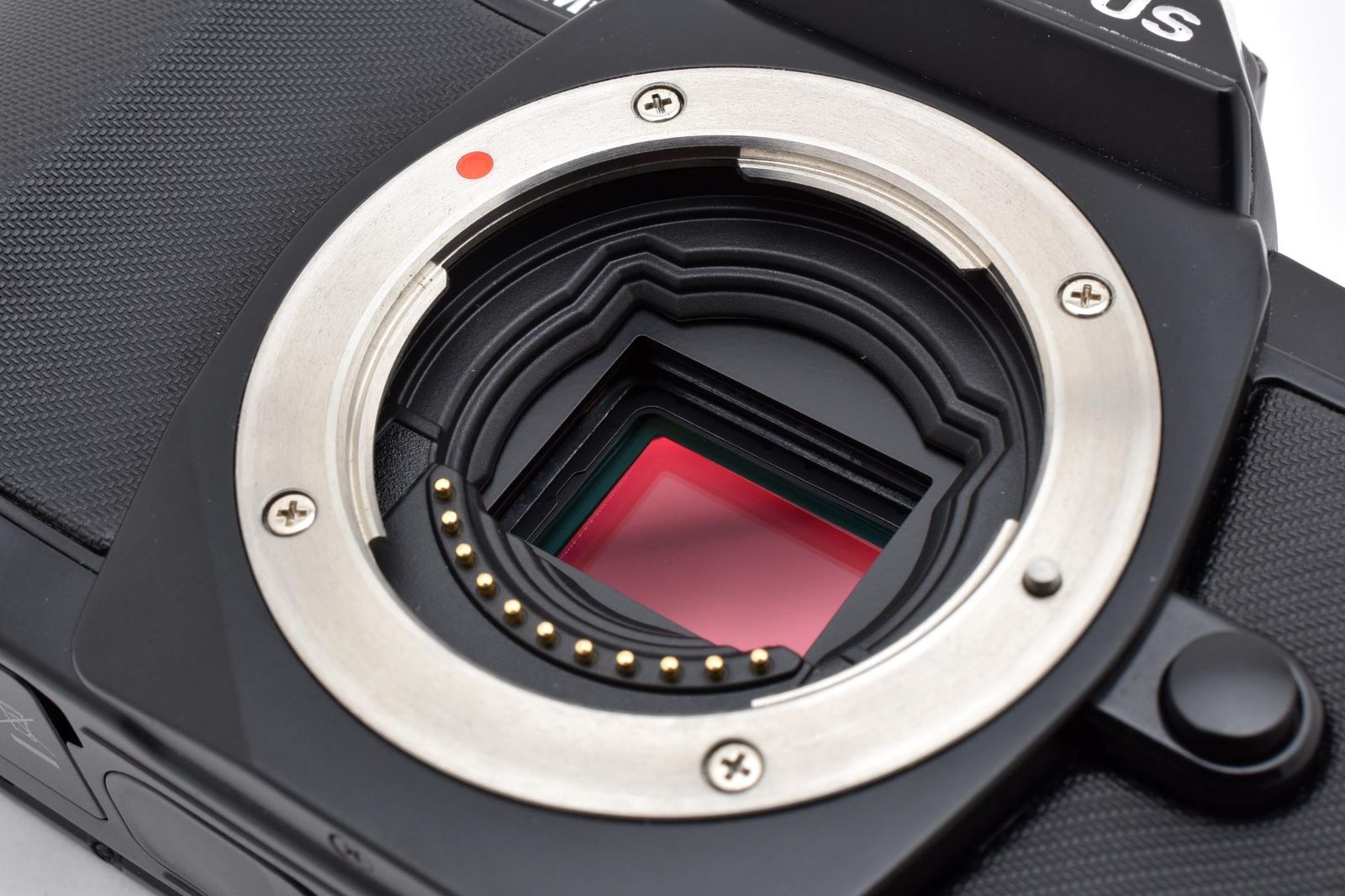 ☆美品☆ 《シャッター数 8536回》OLYMPUS オリンパス OM-D E-M5