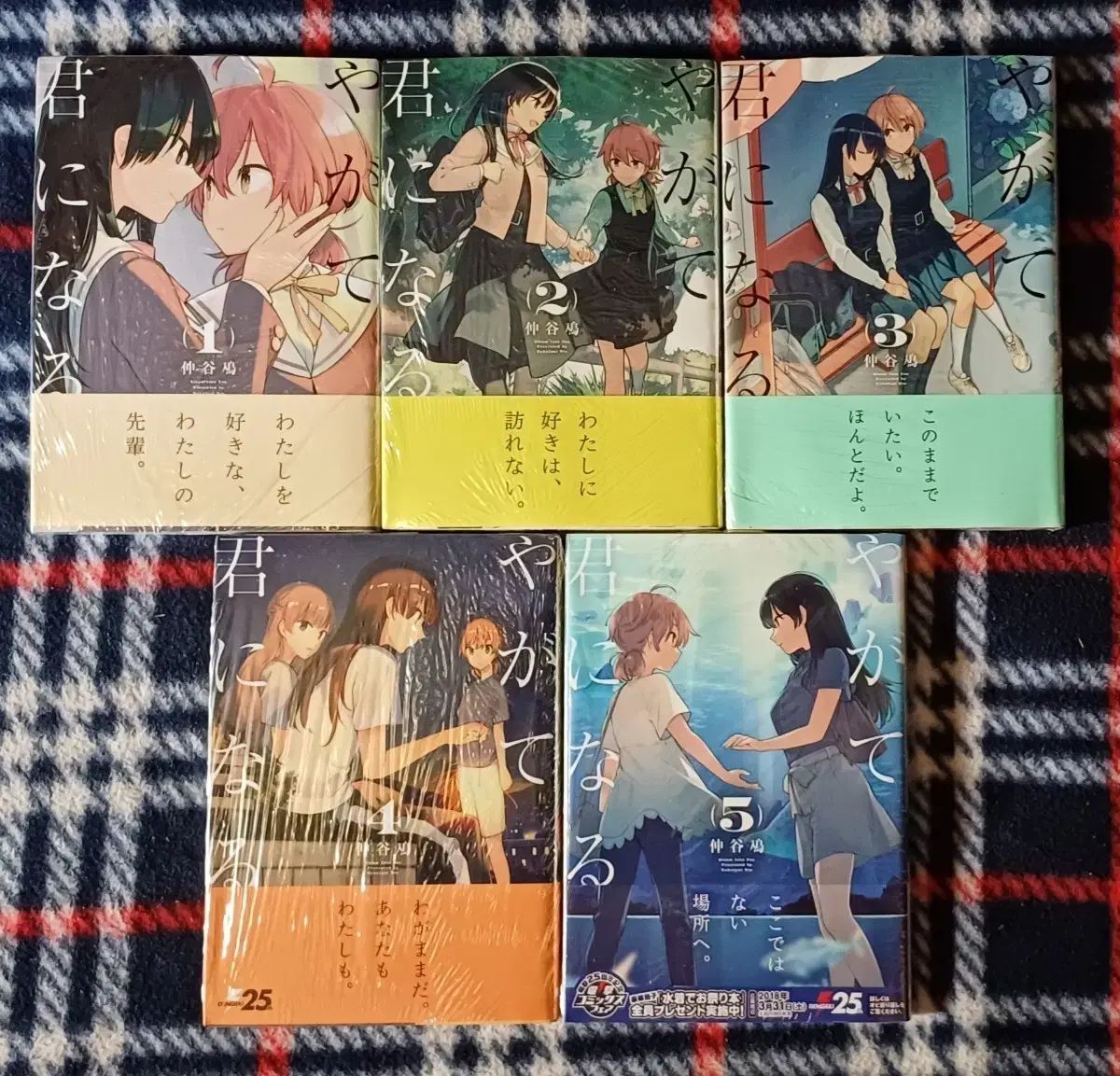 やがて あなた なる コミックス 願書 ヤガキミ 出品