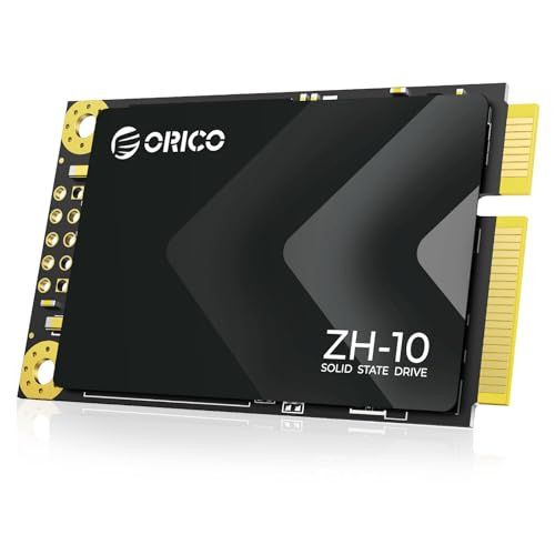 ORICO 512GB mSATA SSD【業界新登場】SATA III、5Gbps 3D NAND内蔵ソリッドステートドライブ ラップトップ用 - ZH10AR 981880f7