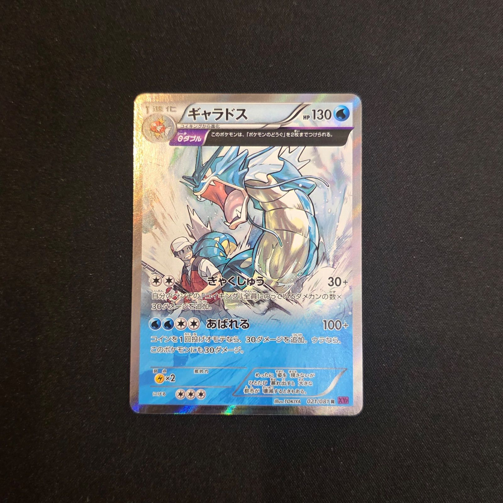 【状態A】ギャラドス R [XY7 021/081](拡張パック「バンデットリング」)